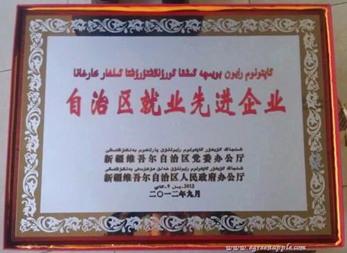 “自治区就业先进工作单位”