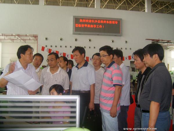 200907长沙县政府各级领导来青苹果参观