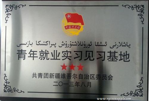 新疆青苹果获评“青年就业实习见习基地”三星基地