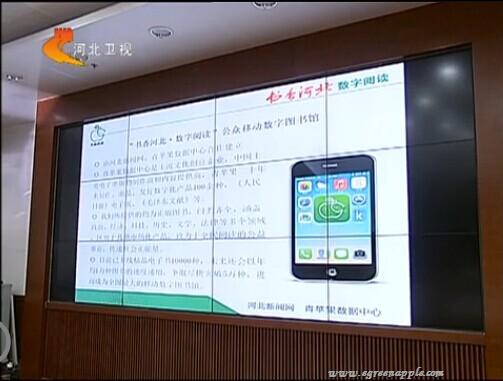 [河北卫视新闻联播]“在河北”综合门户客户端今天开通