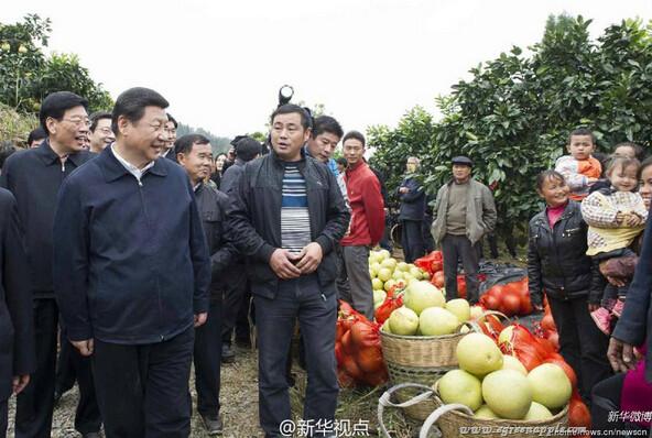 习总书记的湖南足音